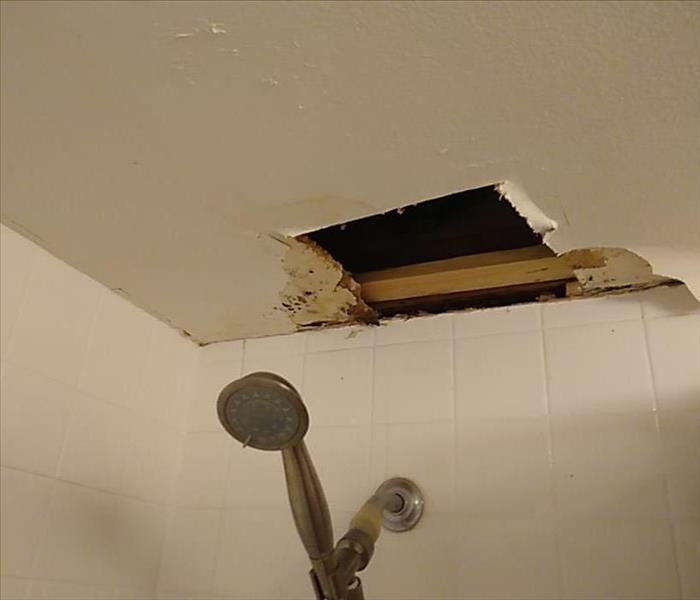 mold growing in bathroom ceiling in Denver apartment